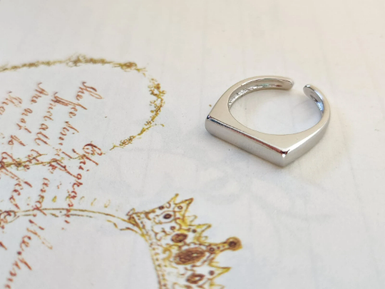 Silver ring with circle 2025 on top