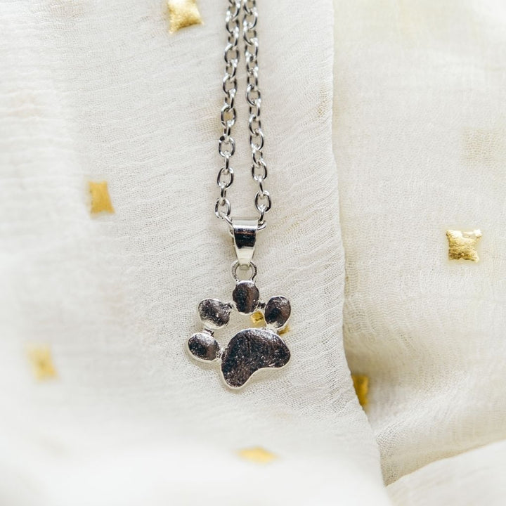 Silver Gold Cat Paw Dog and Kitten Pendant Necklace for Woman (Close-up Detail) | The Colourful Aura